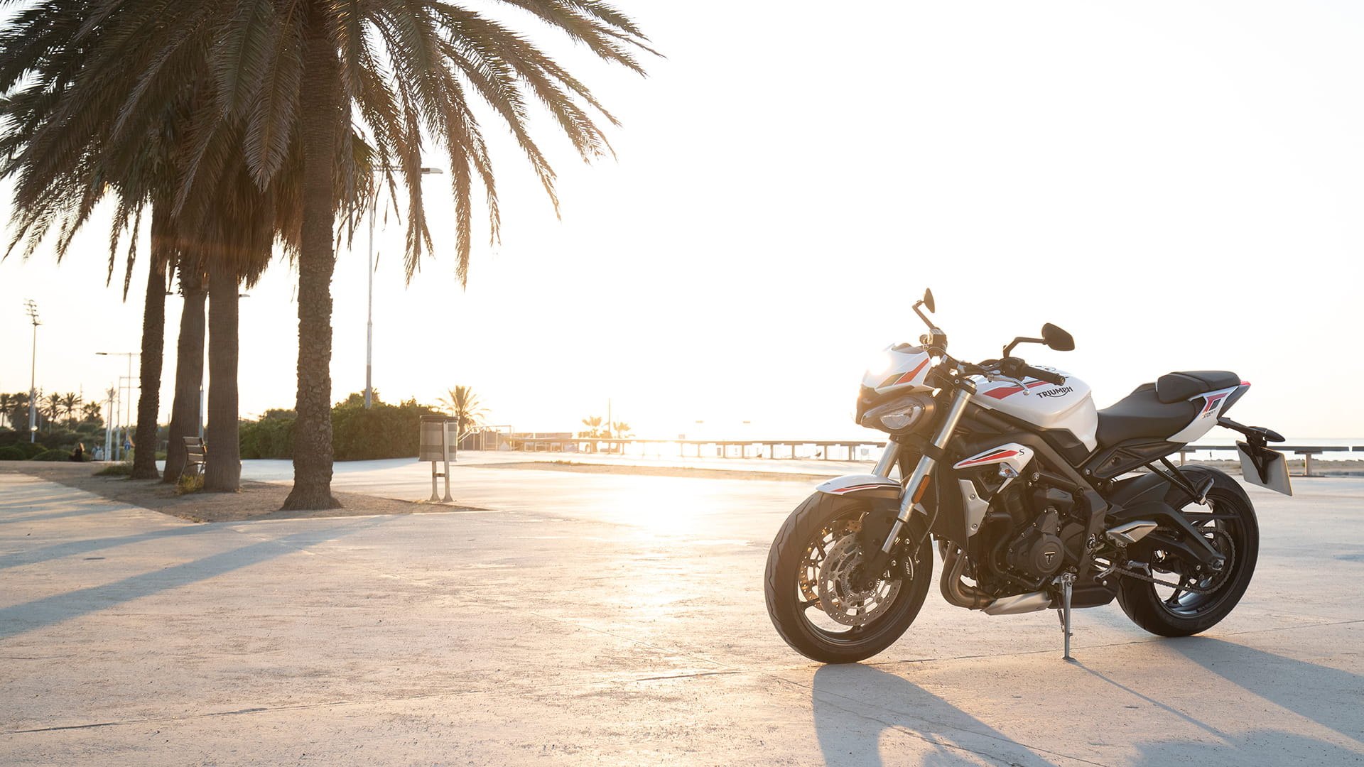 Triumph triple store s 660